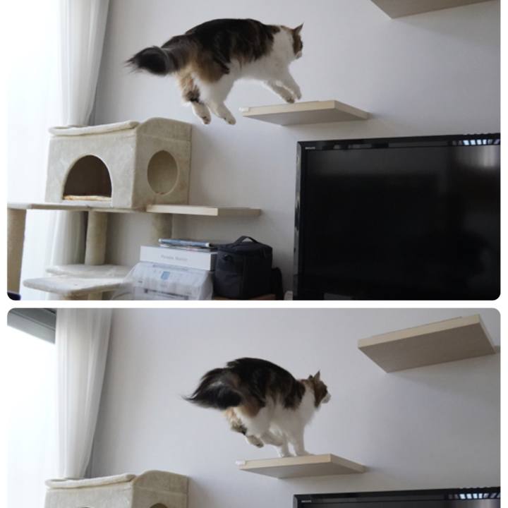 Dfa590d9 d690 4c76 a761 d9f5855ac7cf 1610243414462