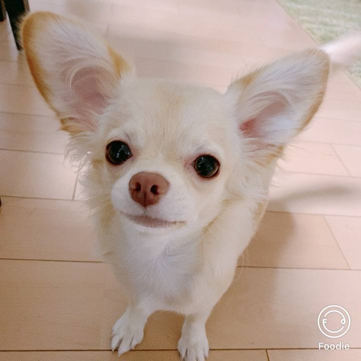 Dfa5df74 8fe1 45a0 9761 4545e6075958 1602020838307