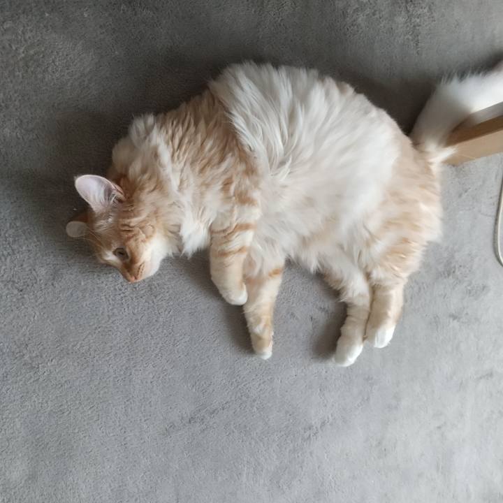 Dfa5f919 8df1 4c72 ad1b 2a518a1a5363 1627788409768