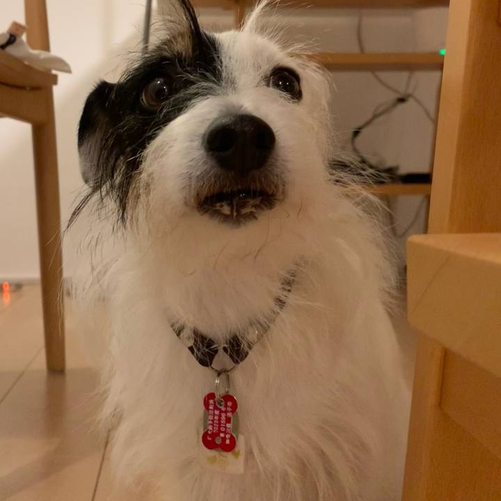 Dfa60b1a 507d 42aa ab3b cc7f782facd7 1701167020707