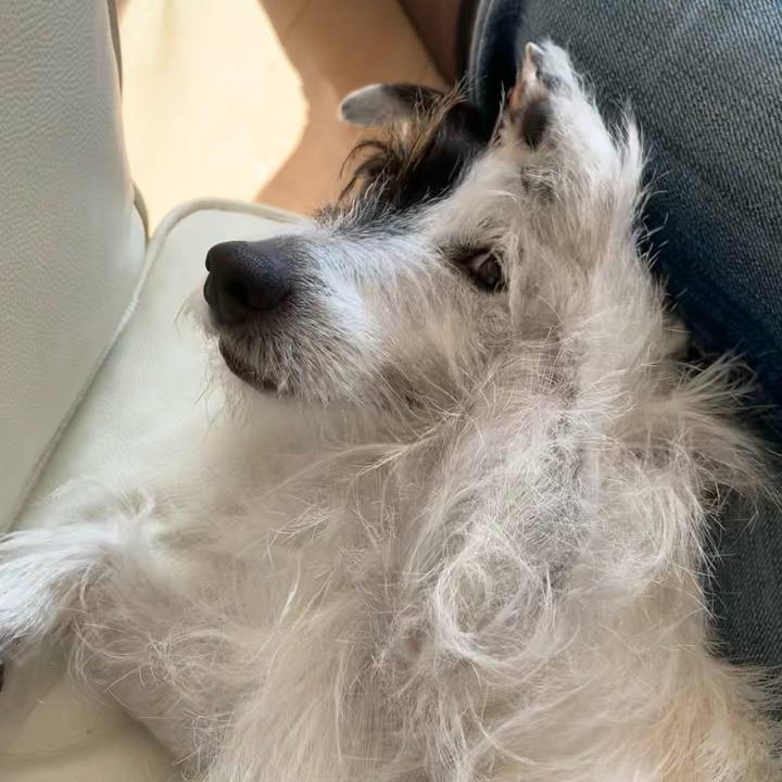 Dfa63bf5 1888 41fd a11d c597ed7f9117 1646107554815