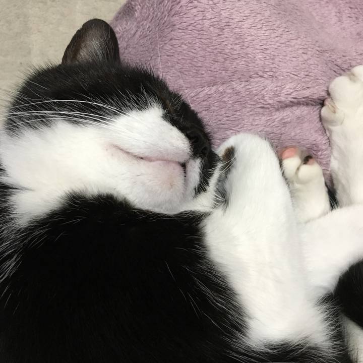 Dfa63cb0 c84f 49a1 9974 4d5a6dda34e3 1548514574456