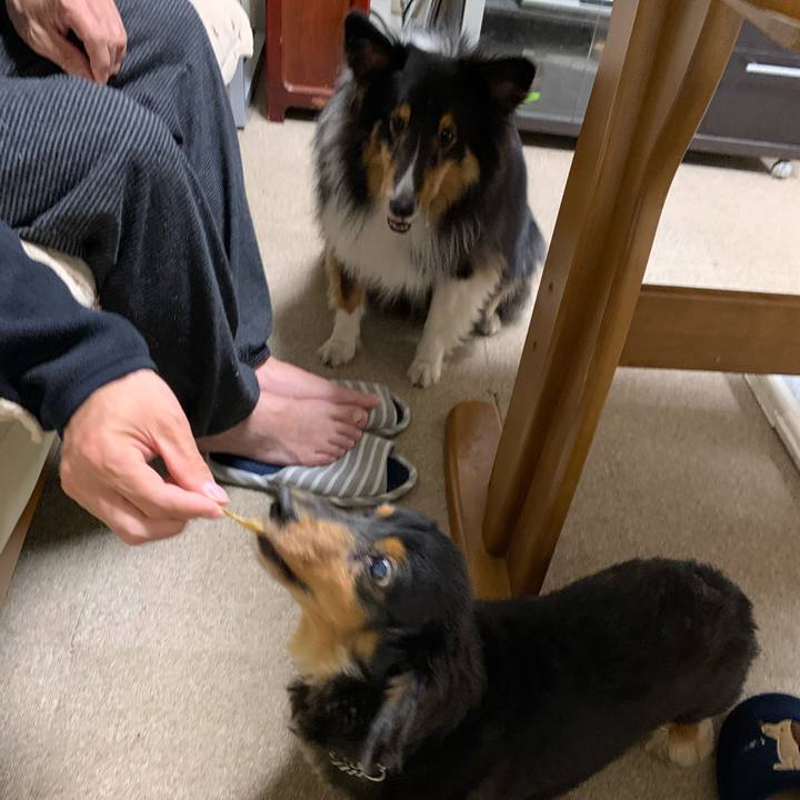 Dfa648c5 5287 4b7b b703 915256ead13a 1589834213708