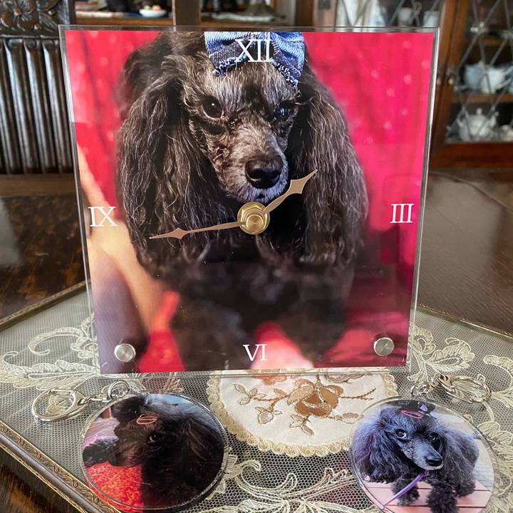 Dfa66164 7495 4b39 9bbf 66f04f68d46e 1724740507661