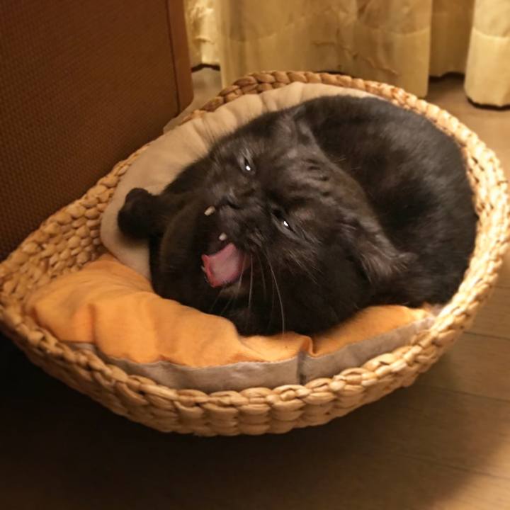 Dfa6741a a0dc 4fc9 8fe9 552a53266502 1509846212114