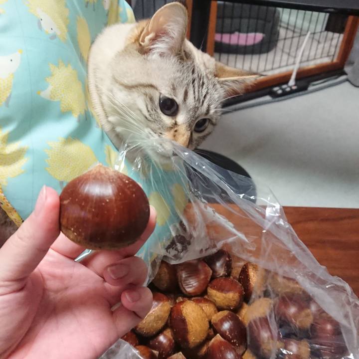 Dfa67a27 65f9 4687 877a f3dfd45e7474 1605092228283