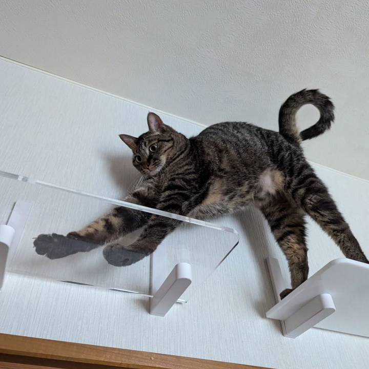 Dfa6a20f d8a2 4ff8 a5c2 ec1b45050326 1725620109914