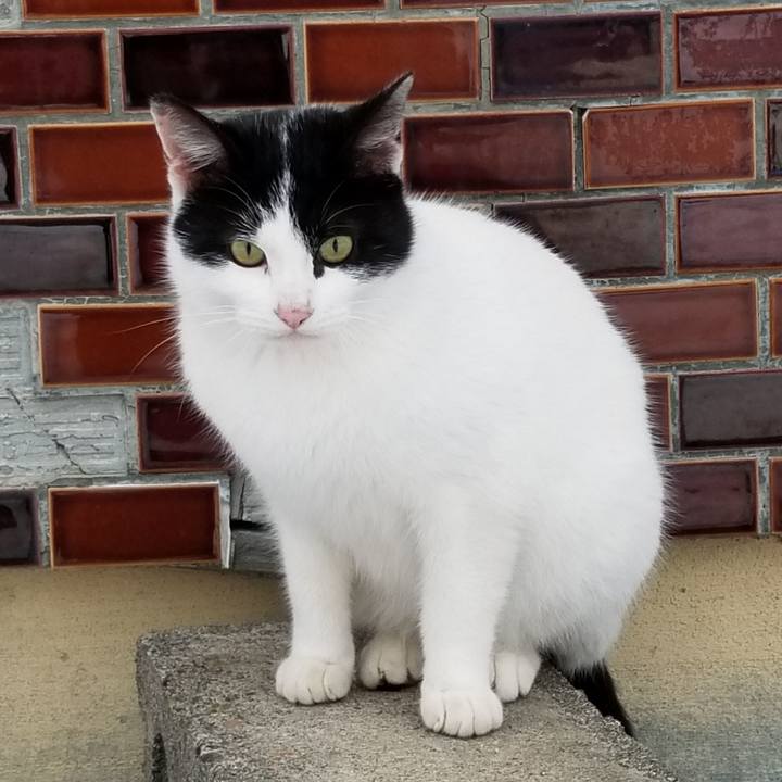 Dfa6b56c 66be 471b af6c d7af8dd3bb39 1576588560173