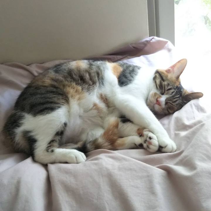 Dfa6d789 df8e 4602 8fec ee2a7b4ab222 1686623568975