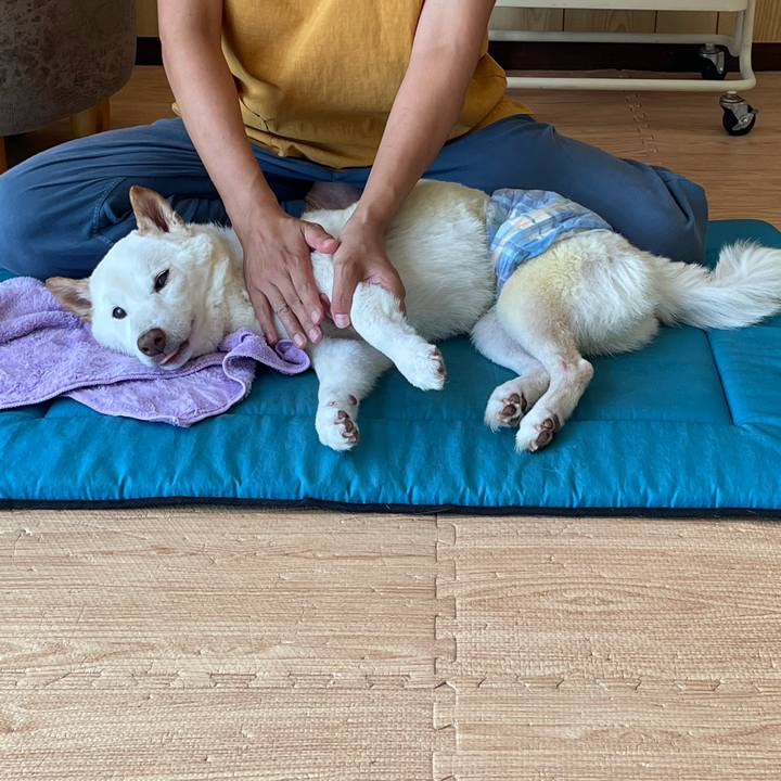 Dfa6dc9b 528f 45a5 918f 9333ed503c86 1662376197328