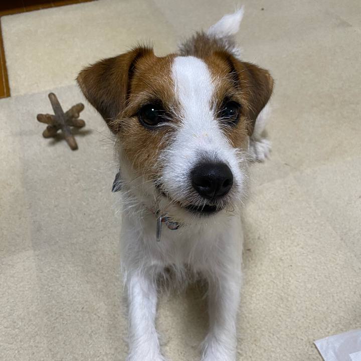 Dfa6dee4 0d44 4d6c 9f5d aeae54380529 1725308225105