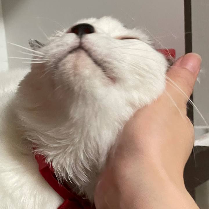 Dfa6ec33 7ca7 417b 8f0b c0933c1cdbef 1624067186688