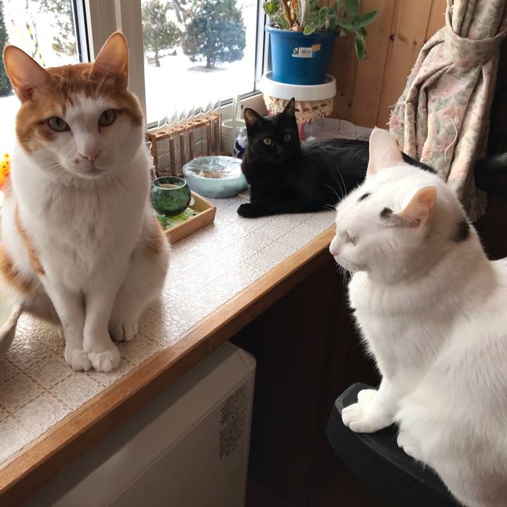 Dfa6f440 1930 4d54 97cf 021095464a97 1577571155673