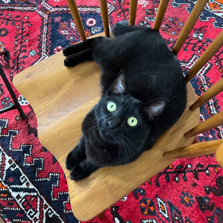 Dfa6fa98 46b2 47c0 976d 0fd99284aafc 1683465160602