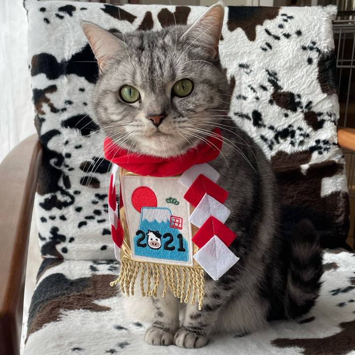 Dfa729a9 fb13 4748 89c0 a727074108fb 1609547576016