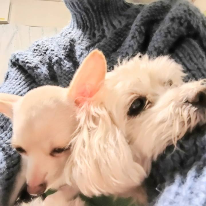 Dfa72d5b b3e3 4b5f bf93 b17bd0e77783 1705438082801