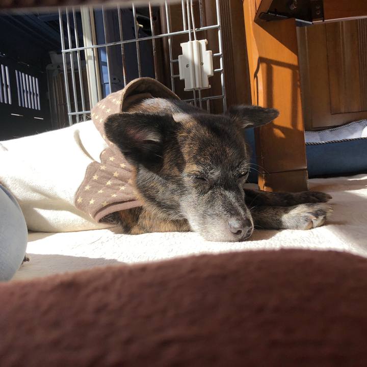 Dfa74597 4431 4321 9a4d 4c29893fc5cf 1603513691172