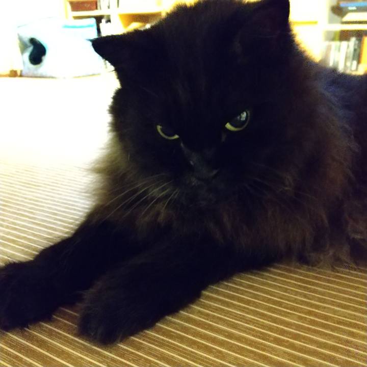 Dfa76faf bee0 4419 8fb7 29f0488ce9b3 1598530551477