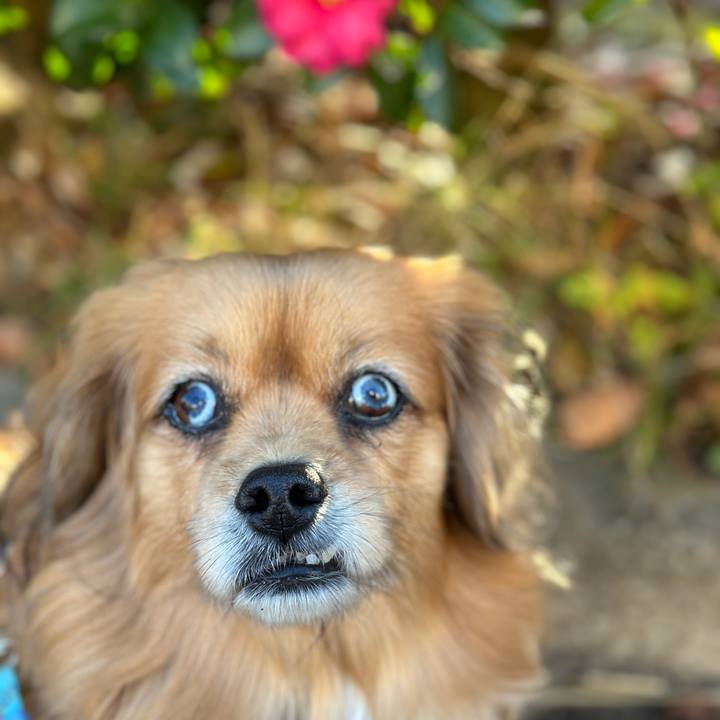 Dfa77364 8bc5 47c4 bb81 c01be226cf27 1703453878329