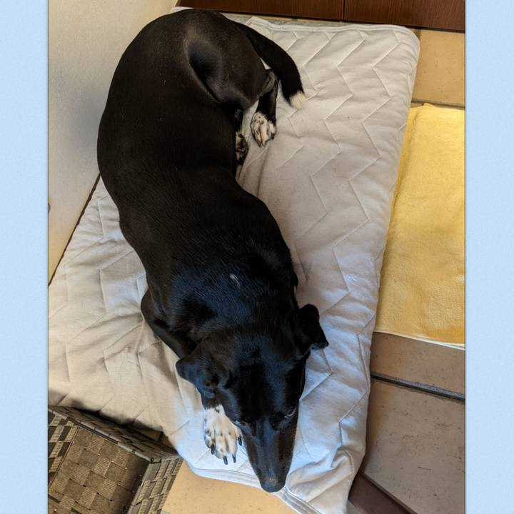 Dfa778aa 07f8 4980 9942 55fcf5e2f97d 1660349047052