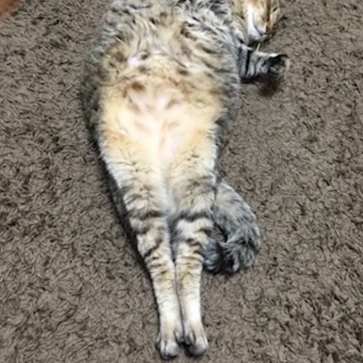 Dfa78307 7fb7 42d4 913c ee16b16dcda0 1697464768743