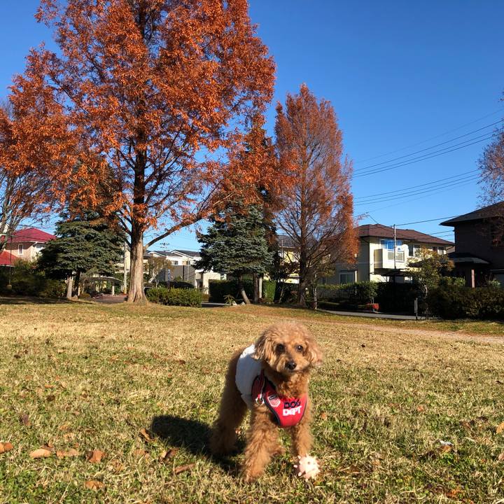 Dfa7bc07 e9df 4d13 b097 add7ae15c1fb 1638238470002