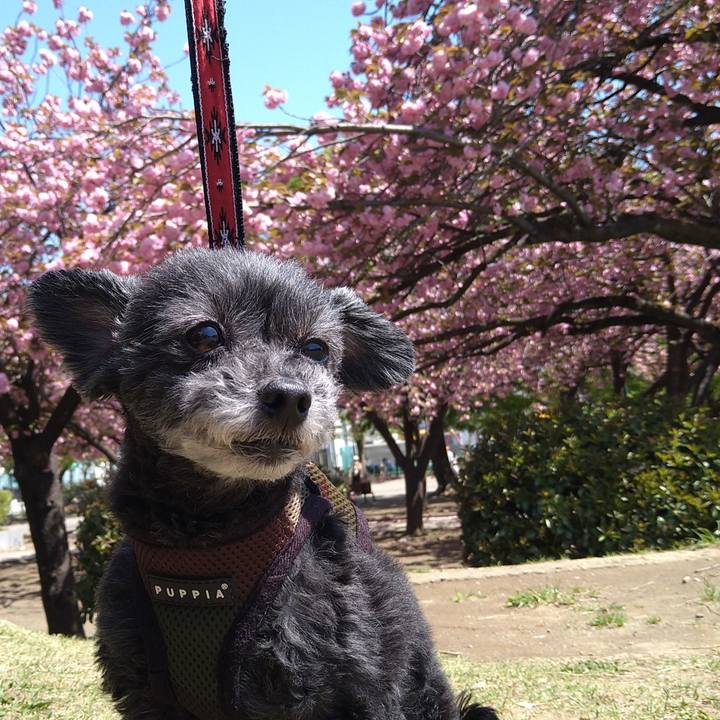 Dfa7dde2 da09 4e3c a2fd 7aad37d52134 1681010650270