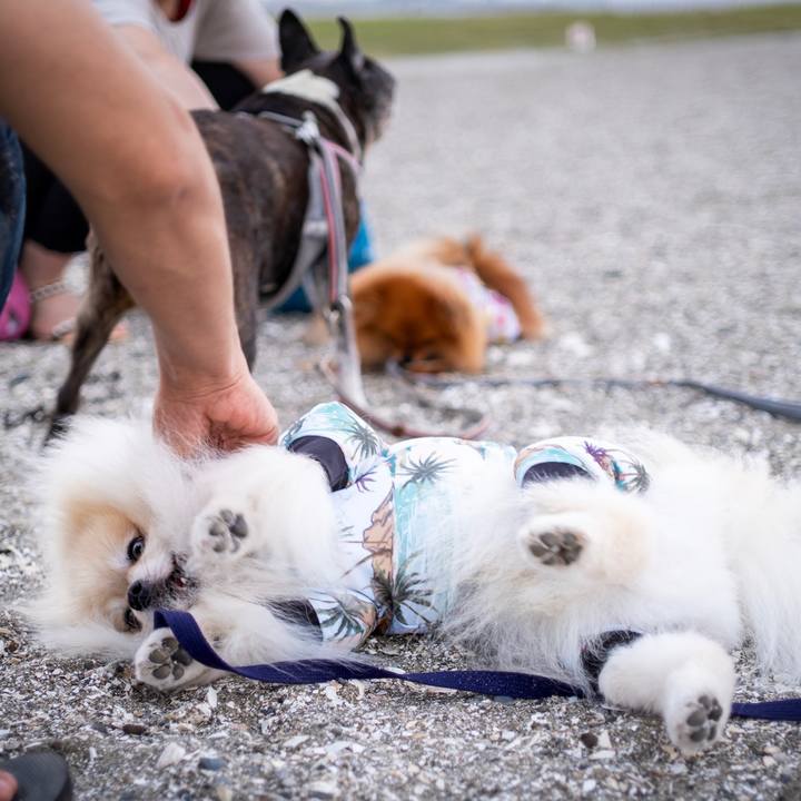 Dfa804af 6f11 4035 aacd 6dadf493d179 1567291497546