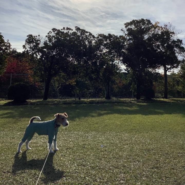 Dfa83b9f dce4 47eb 933d b12cfdf18e8d 1762088184356