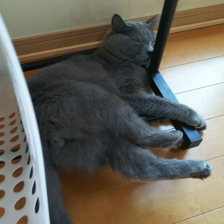 Dfa84859 51db 4da4 826e e24af2b05585 1542071098227