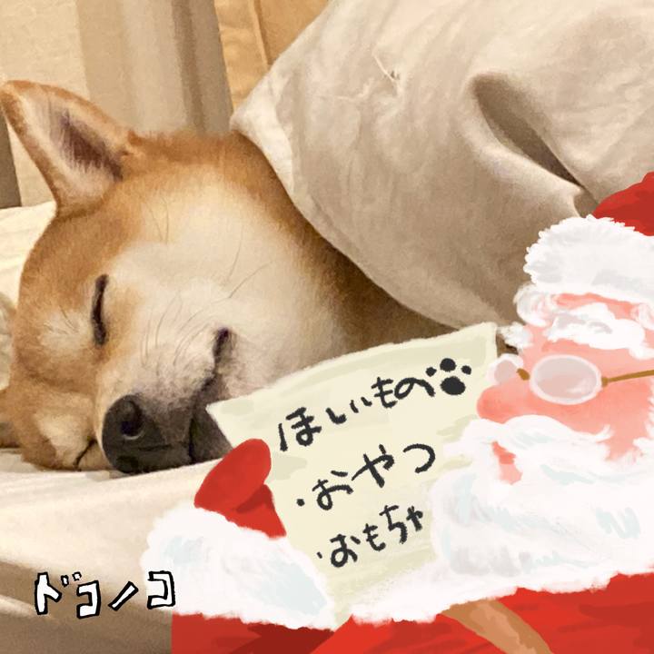 Dfa85dbc 530c 4350 8b07 cbf4ebf1d2d5 1729083601845