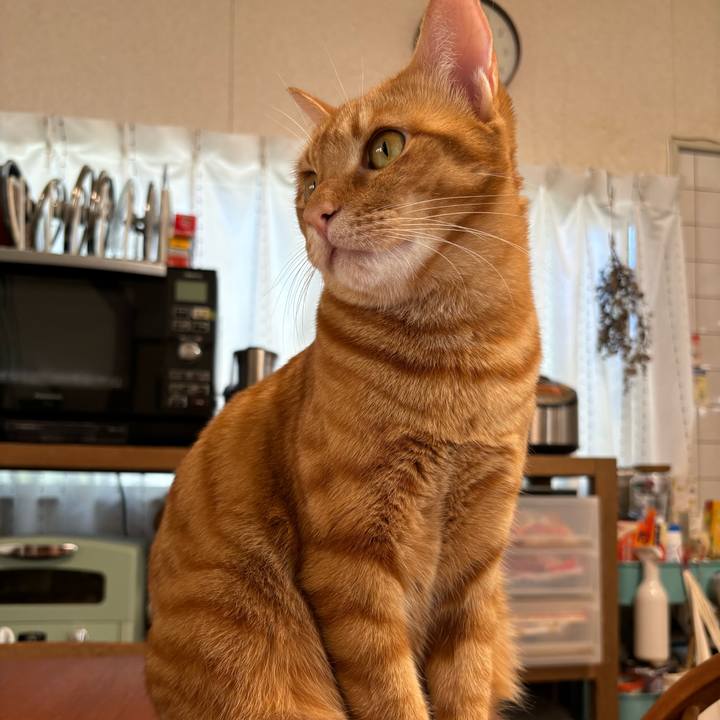 Dfa8e75a 91f3 4c94 abbd 2aa9b1ada2a7 1726706947267