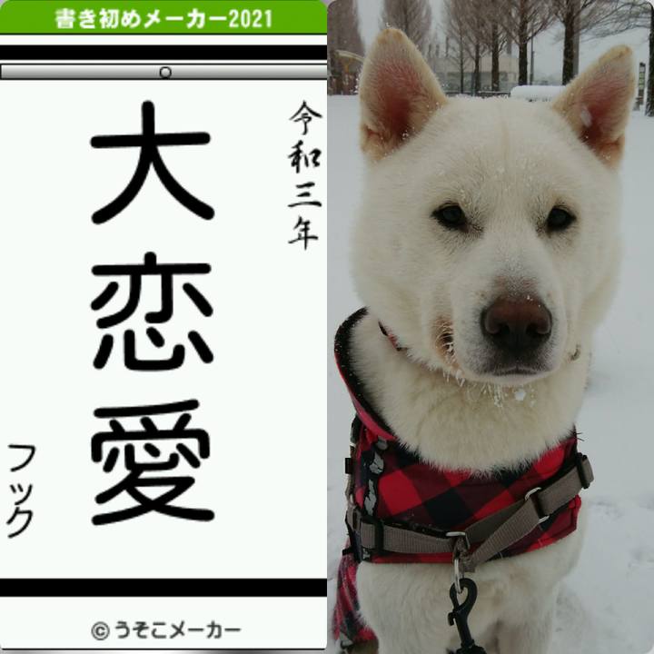 Dfa90fc4 7656 41dd 8df4 0451a0bde4e2 1609492877910