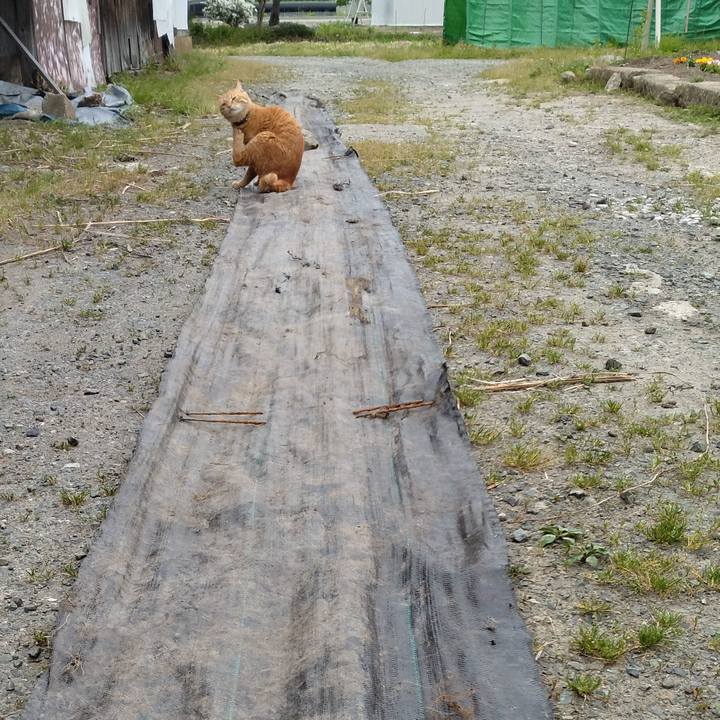 Dfa92e10 eda9 4594 9918 4686056fb596 1684740477904