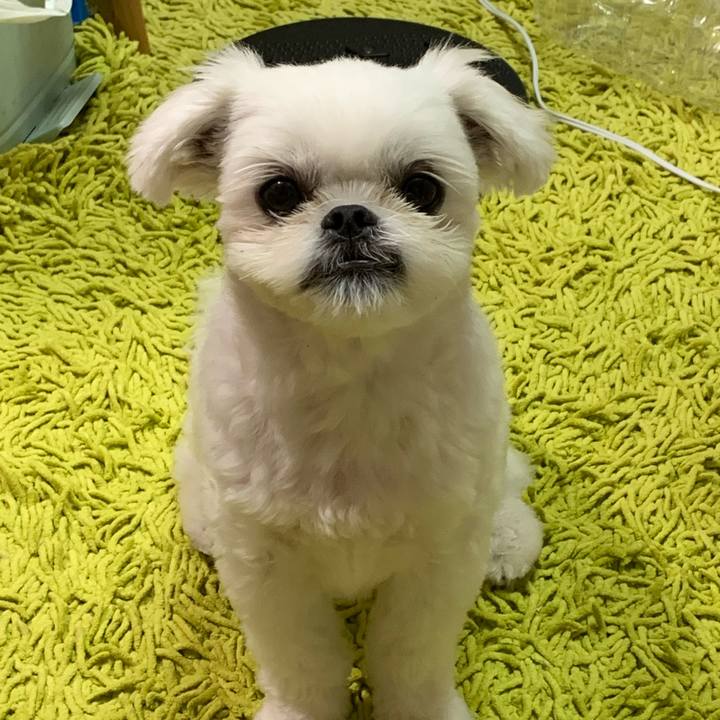 Dfa92f73 6cf7 4930 b30a fca32e73b55f 1630161346756