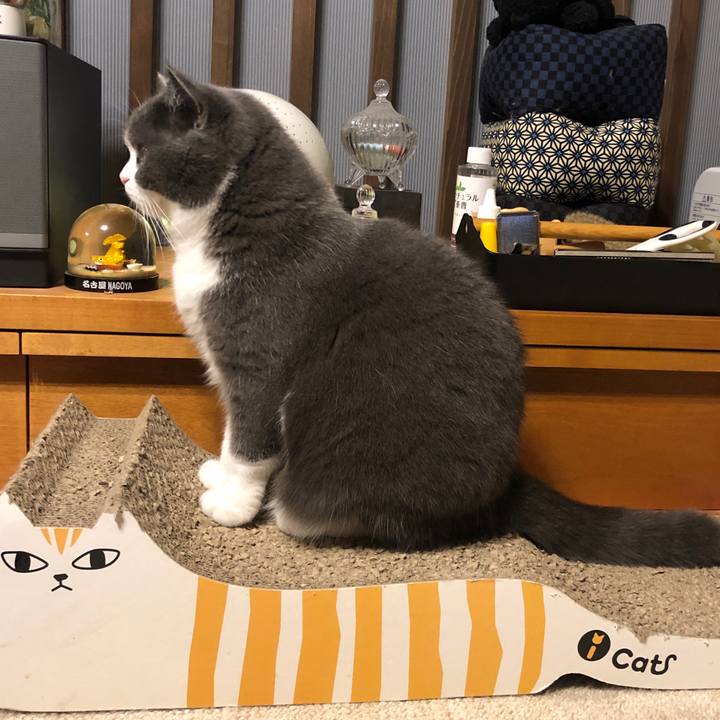 Dfa95277 18c7 44bc 9a78 f27578fc8715 1574479478841