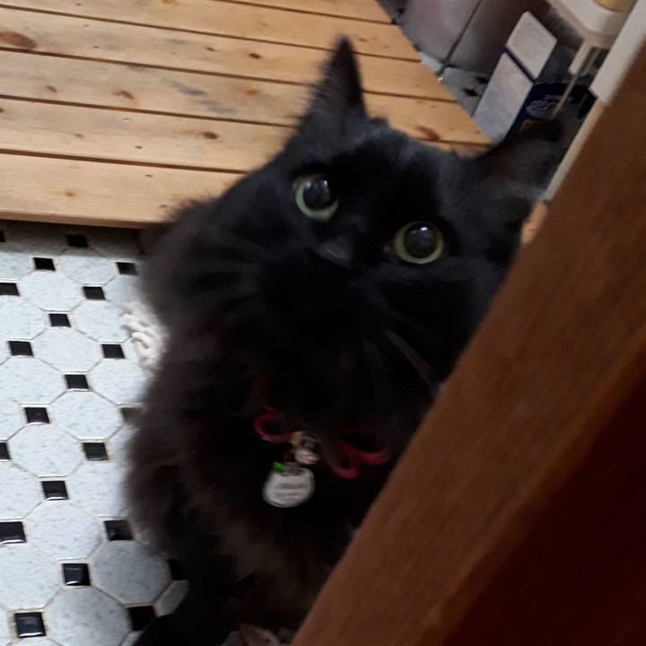 Dfa95f19 9471 42b2 9fa4 a3a5355bf2a3 1522708793471