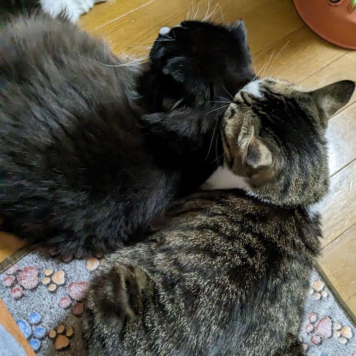 Dfa97dbd 9421 46c8 91a6 a0865c9d2f54 1680126066890