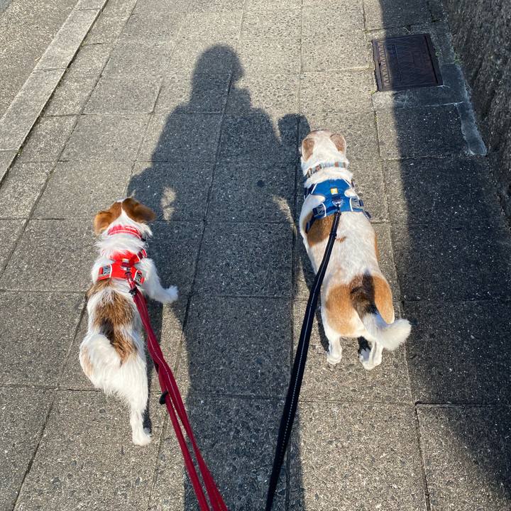 Dfa9809d cfd4 43e4 ac61 2da58cd02c51 1641179400849