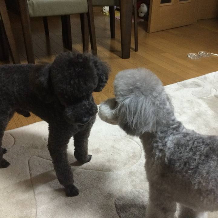 Dfa9939a b702 45e7 900f 95dbd0ab79e8 1770596583322