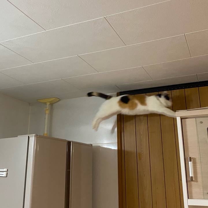 Dfa9a112 dc21 4e32 89e1 24b8cab729aa 1646826635271