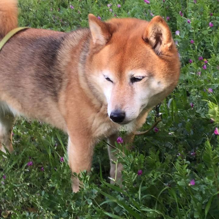 Dfa9abeb 81b6 4adc 9faa 20a5eeb25844 1586161409212