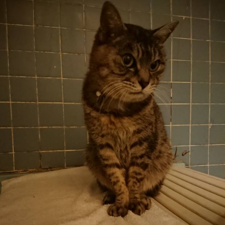 Dfa9be99 5005 48ac 98fe 3d8bf0aa0460 1578214583410