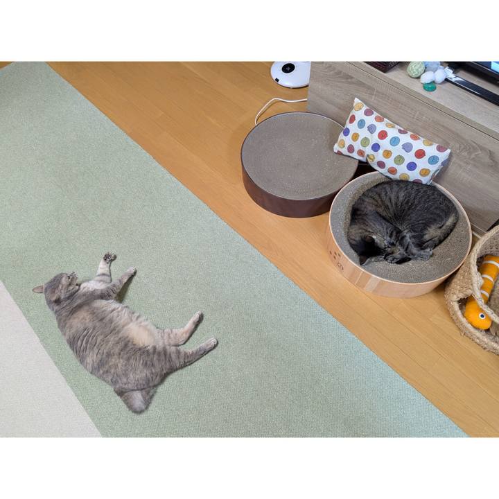 Dfa9d40a 7d1c 47ff ac6f 6c5e7192f30b 1758854077323