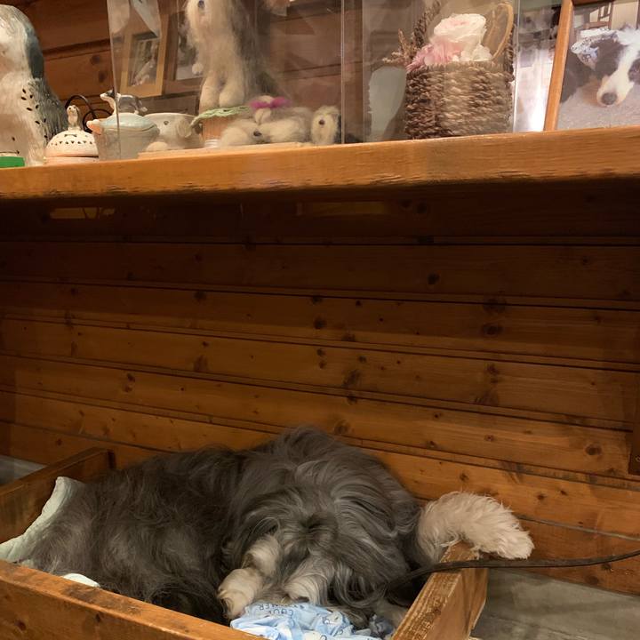 Dfa9d7c8 6a6a 4c5a adb4 7cdc9474ec85 1570438784293