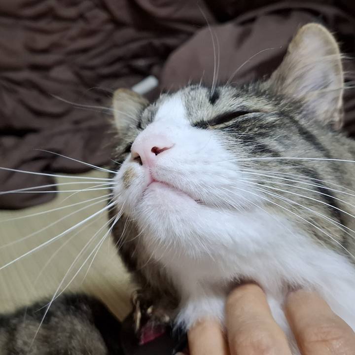 Dfa9ded0 d82d 4a14 842e 4cbb4a30cb71 1758697611667