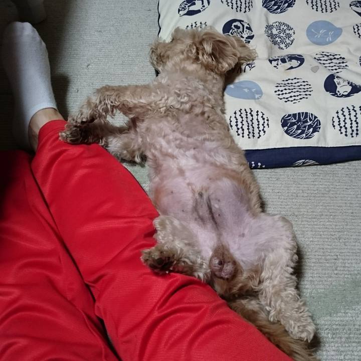 Dfaa191b b66d 4cd9 8add 7807d39556f5 1588684768237