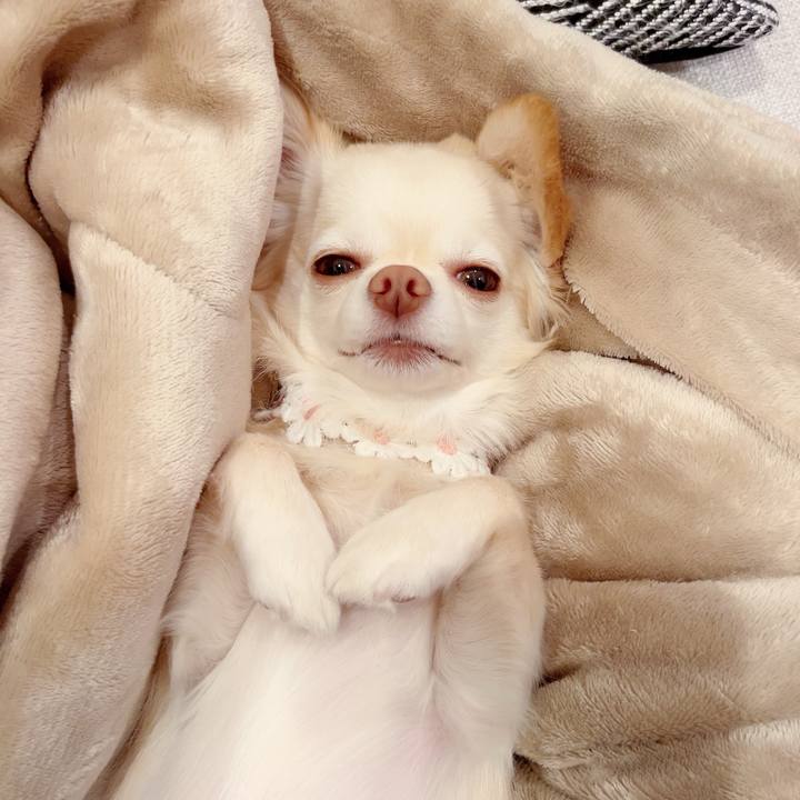 Dfaa1a8c 137d 434c b3a3 ebe308989d10 1699357355094