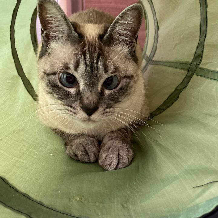 Dfaa6377 7139 48da 8e8f 5d09de282f4b 1620609155054