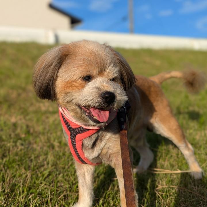 Dfaa931f 4d32 4f52 8ed2 307214e468d3 1721341051134